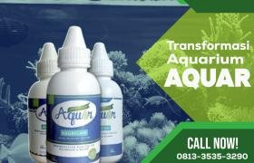 Fungsi Aquar Aquascape Akuarium