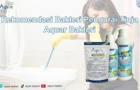 Pengurai Bakteri Septic Tank