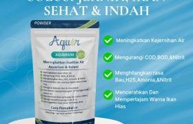 Rawat Ikan Dengan Aquar Aquarium