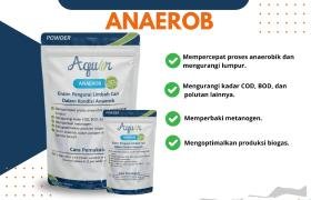 Apa Itu Aquar Anaerob
