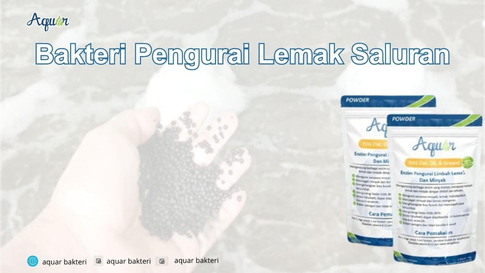 Bakteri Pengurai Lemak Saluran