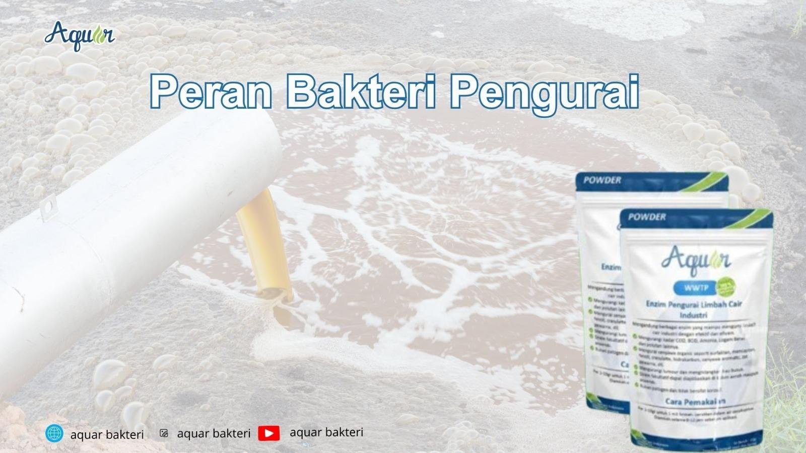 Peran Bakteri Pengurai