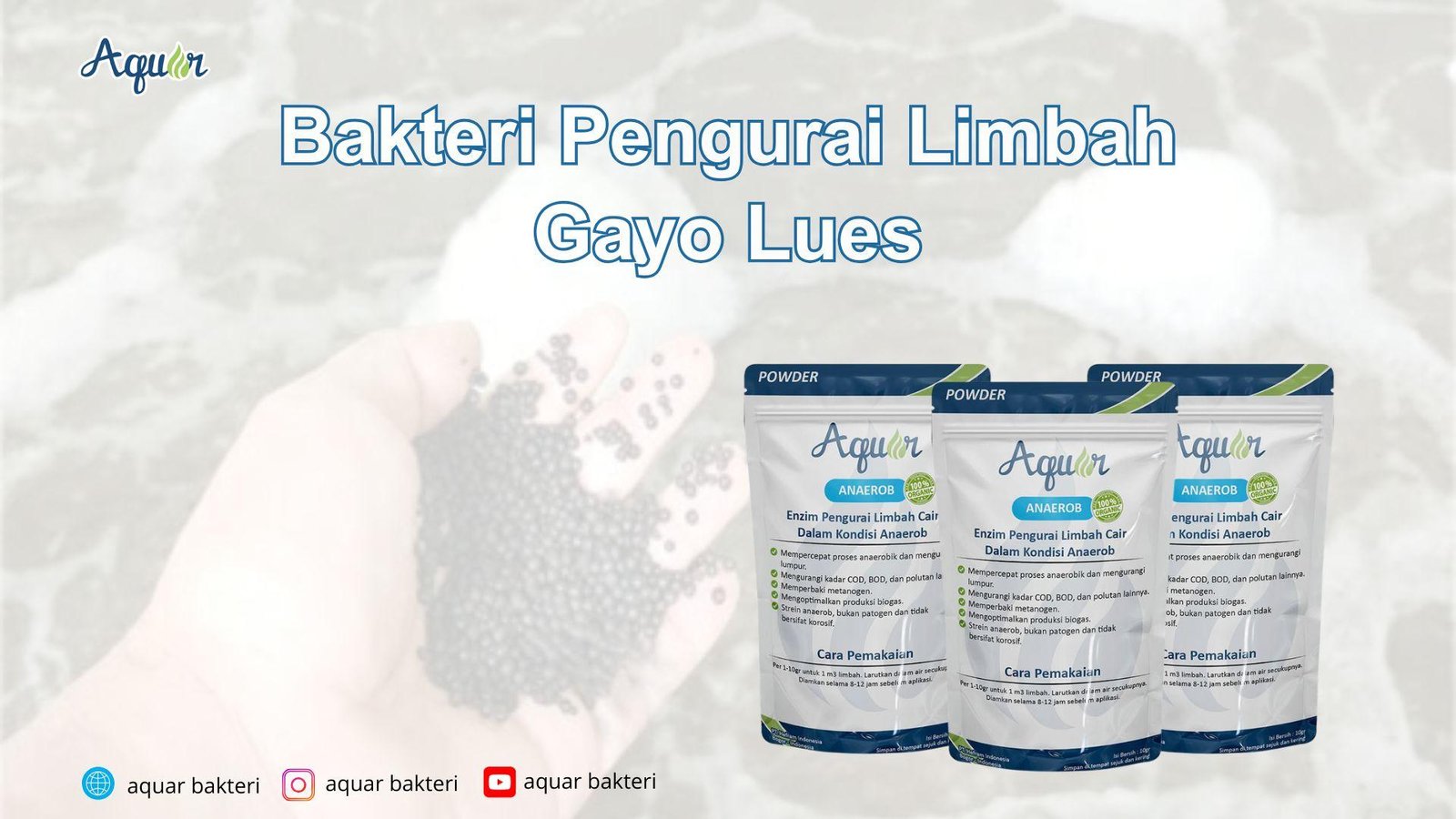 Bakteri Pengurai Limbah Gayo Lues