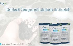 Bakteri Pengurai Limbah Industri