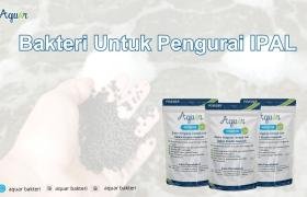 Bakteri Untuk Pengurai IPAL