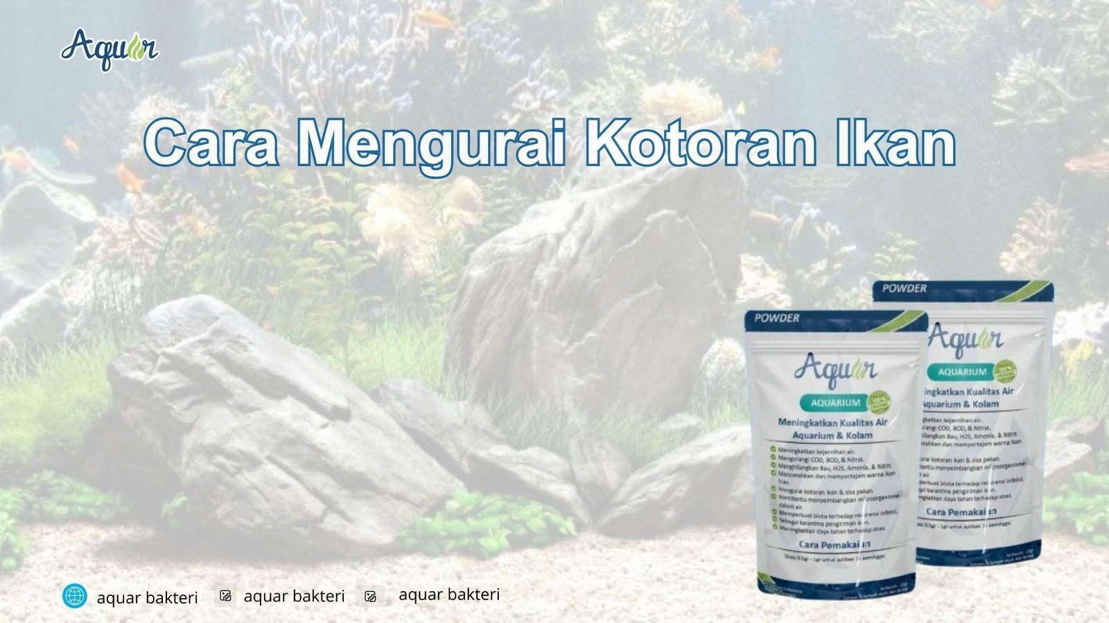 Cara Mengurai Kotoran Ikan