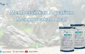 Membersihkan Aquarium Menggunakan Apa