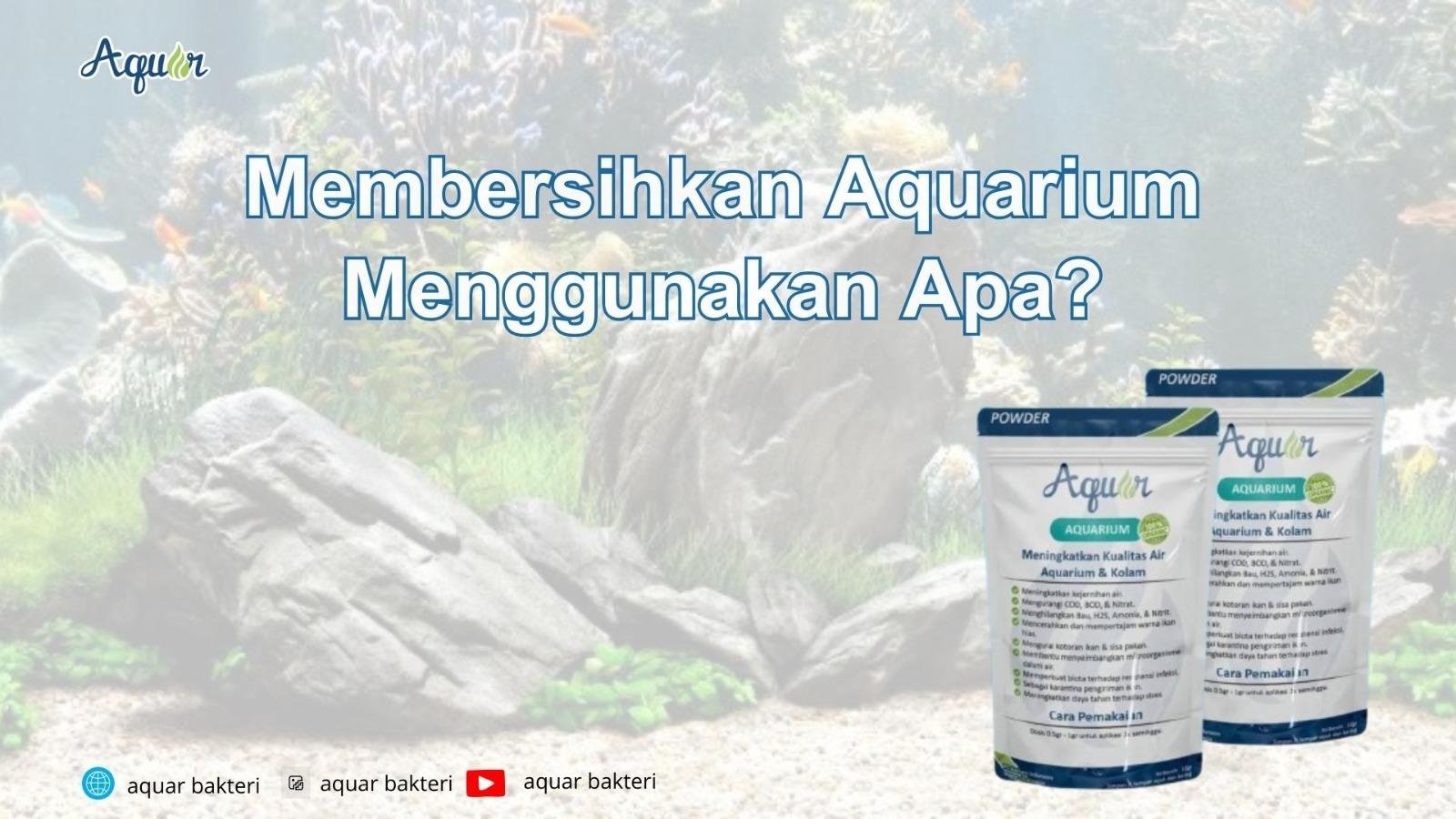 Membersihkan Aquarium Menggunakan Apa