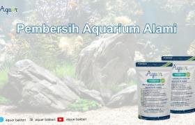 Pembersih Aquarium Alami