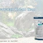 Perawatan Kolam Ikan