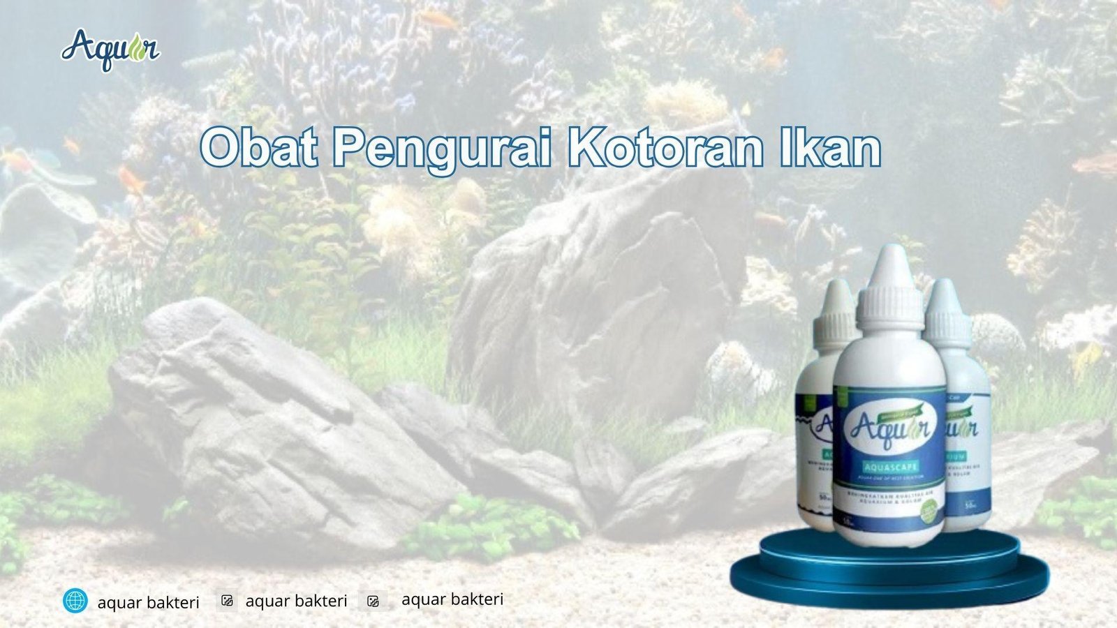 Obat Pengurai Kotoran Ikan