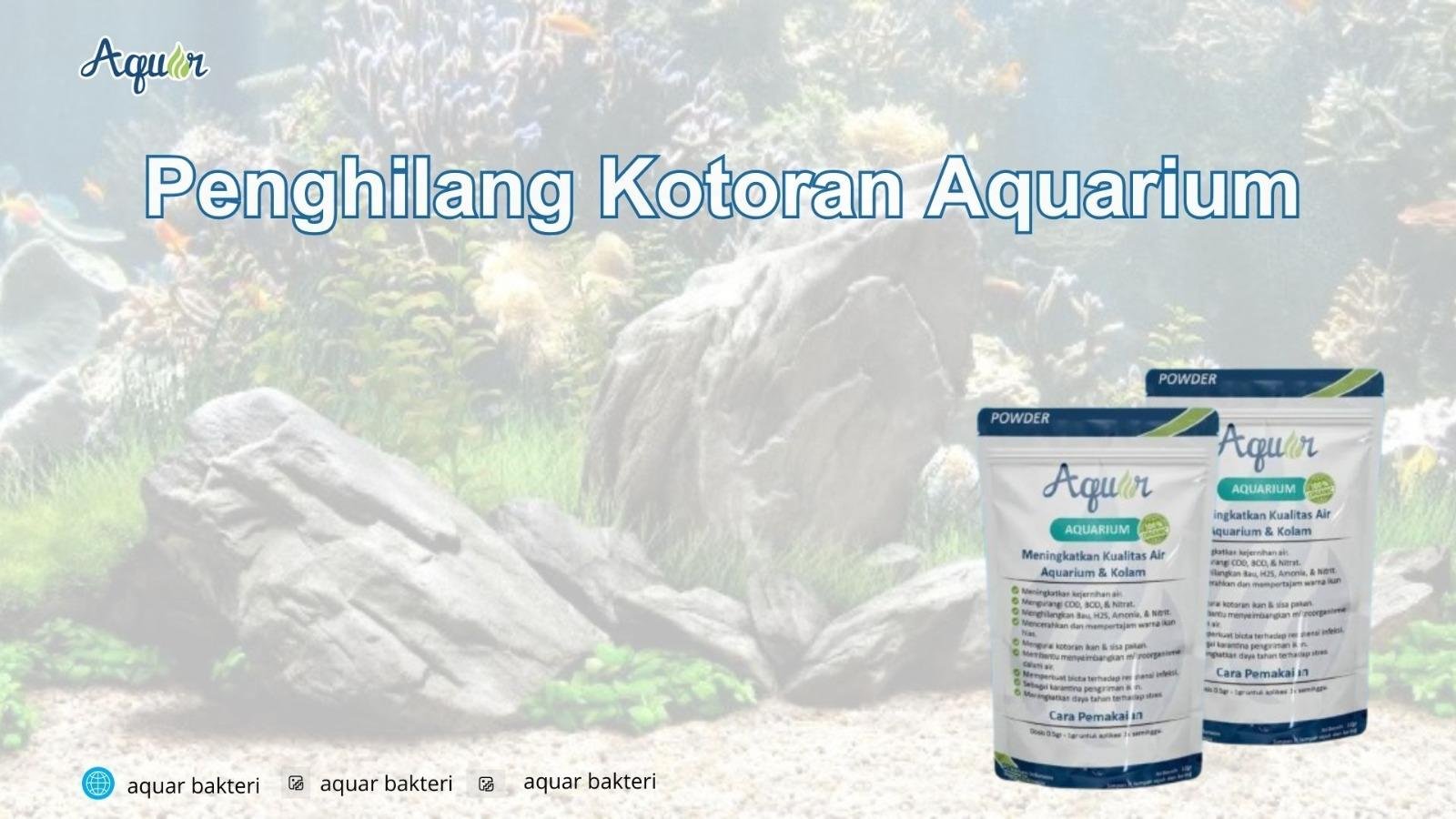 Penghilang Kotoran Aquarium