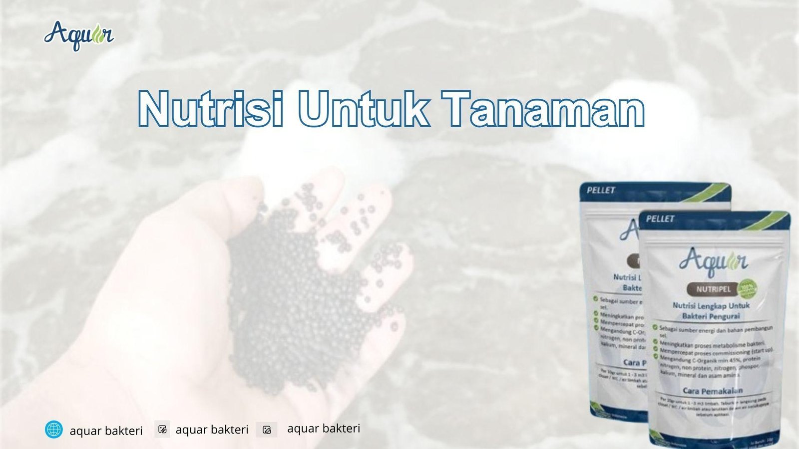 Nutrisi Untuk Tanaman
