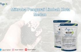 Mikroba Pengurai Limbah Kota Medan