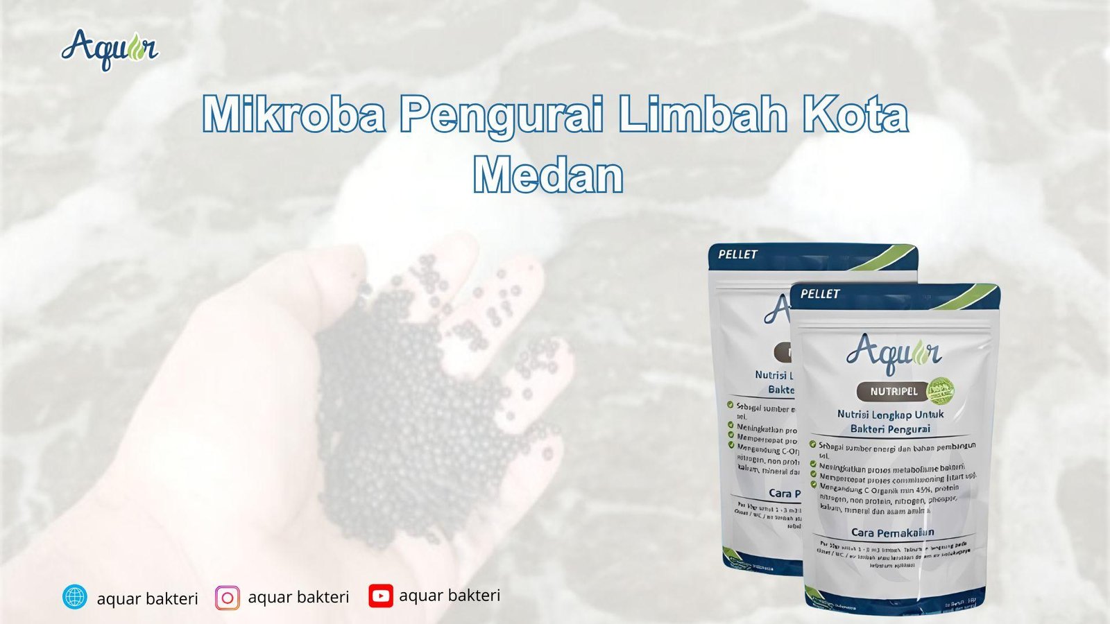 Mikroba Pengurai Limbah Kota Medan