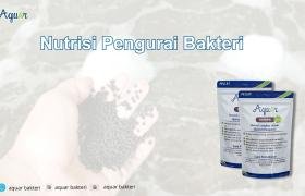 Nutrisi Pengurai Bakteri