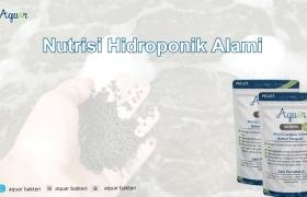 Nutrisi Tanaman Hidroponik
