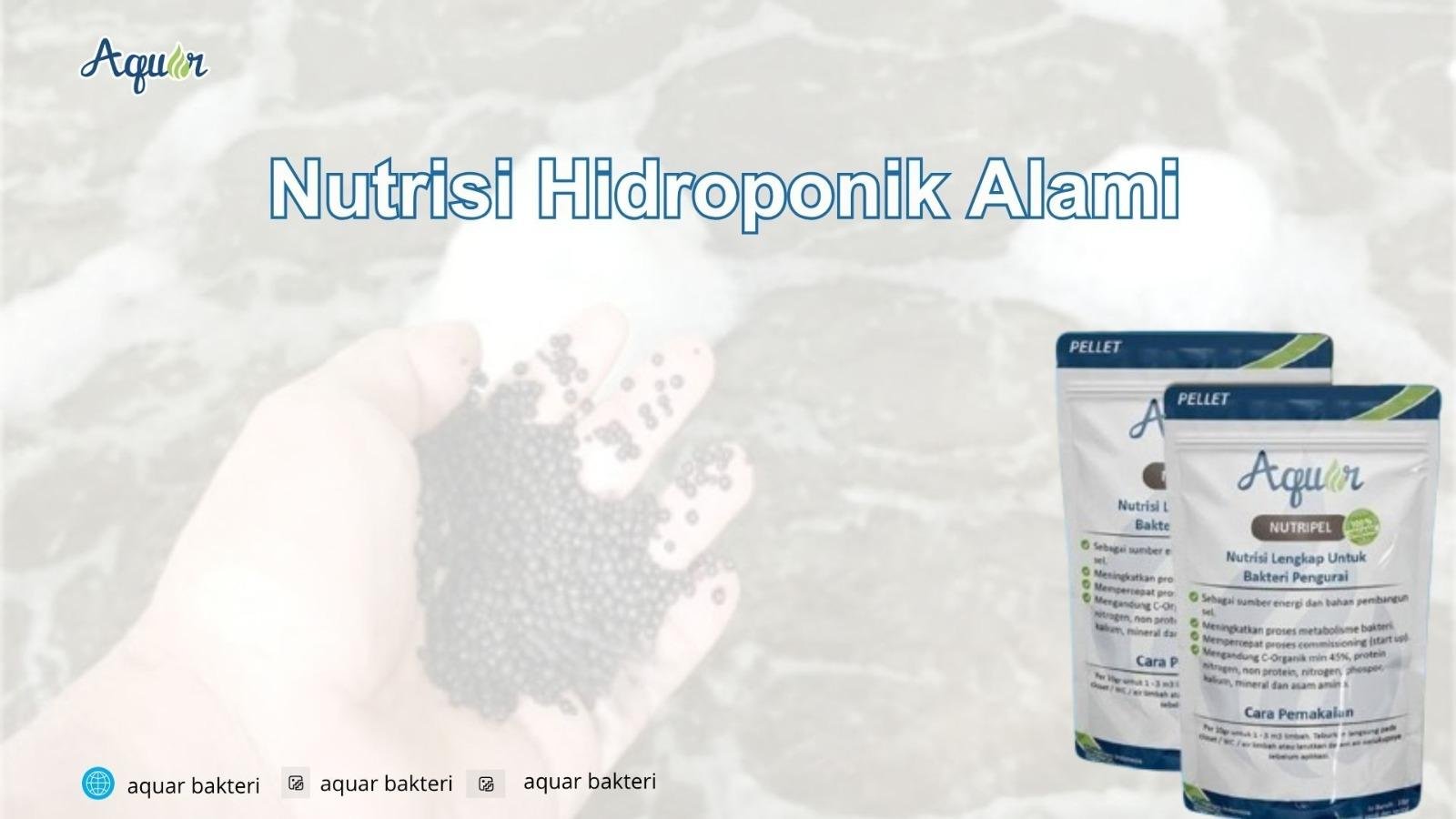 Nutrisi Tanaman Hidroponik