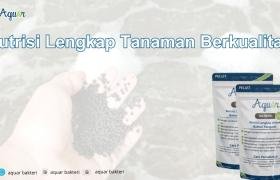 Nutrisi Lengkap Tanaman Berkualitas
