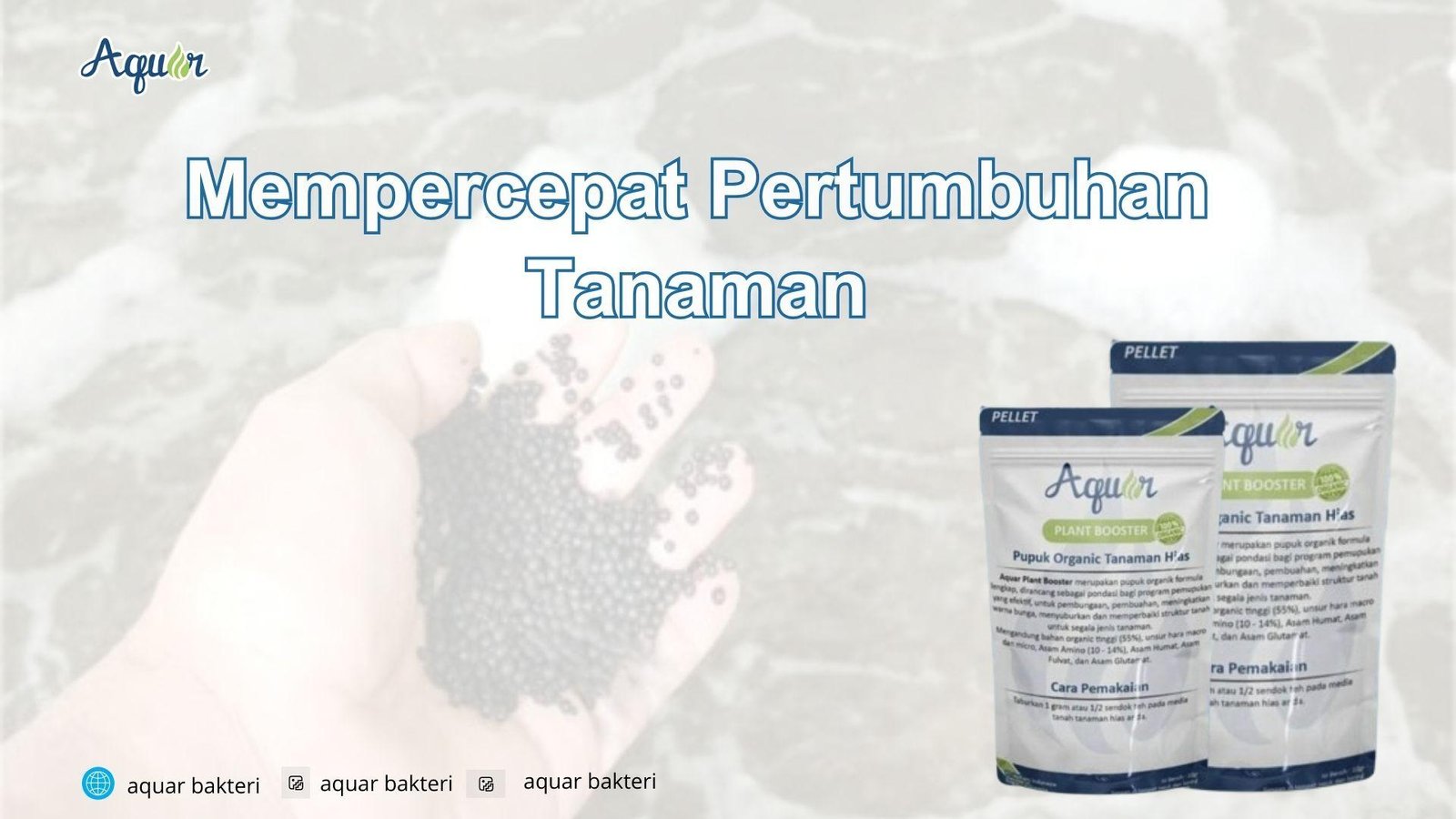 Mempercepat Pertumbuhan Tanaman