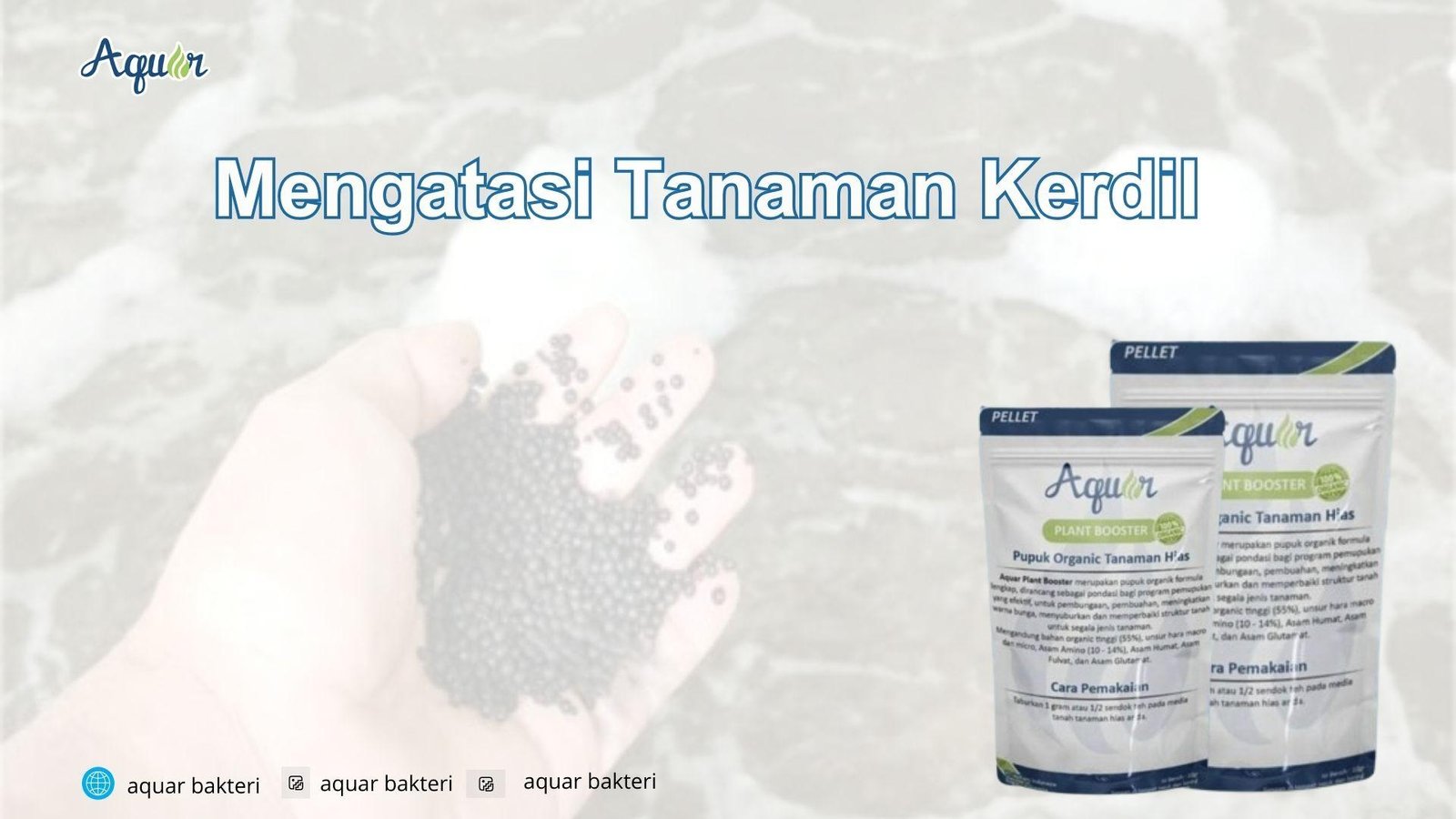 Mengatasi Tanaman Kerdil