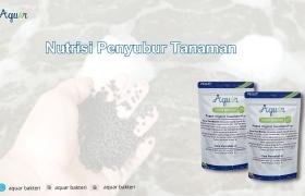 Nutrisi Penyubur Tanaman
