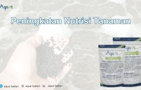 Peningkatan Nutrisi Tanaman