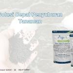 Solusi Cepat Penyuburan Tanaman