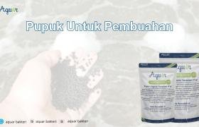 Pupuk Untuk Pembuahan