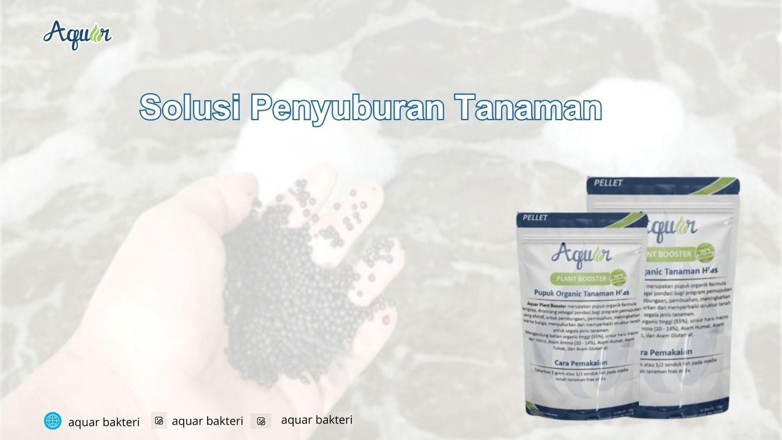 Solusi Penyuburan Tanaman