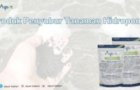 Produk Penyubur Tanaman Hidroponik