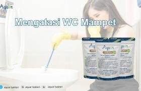 Mengatasi WC Mampet