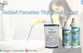 Bakteri Pemakan Tinja Aceh Timur