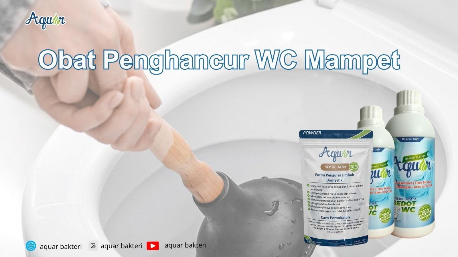 Obat Penghancur WC Mampet