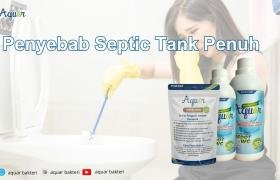 Penyebab Septic Tank Penuh