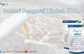Bakteri Pengurai Limbah IPAL
