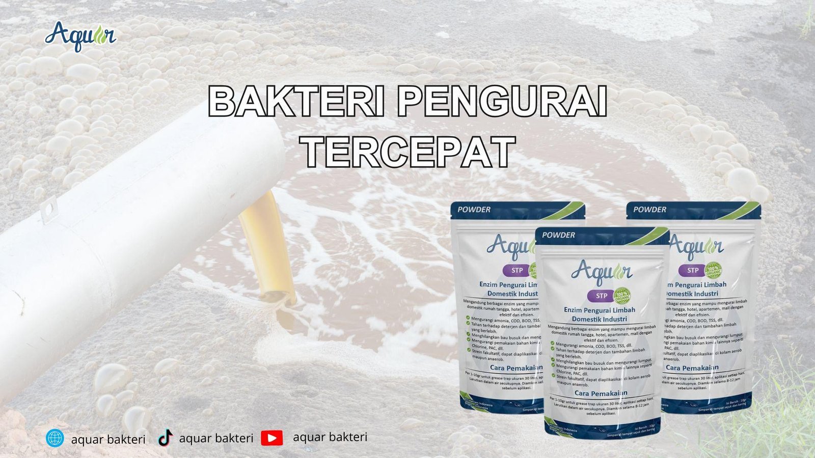 Bakteri Pengurai Tercepat