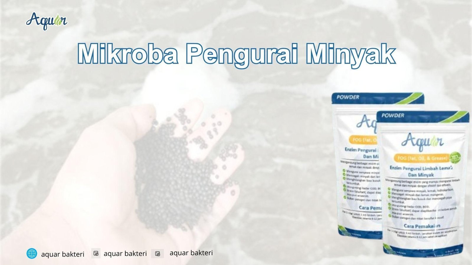 Mikroba Pengurai Minyak