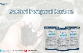 Bakteri Pengurai Karbon
