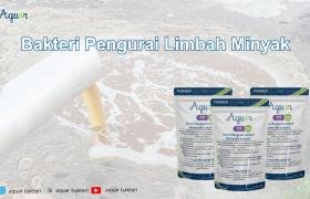 Bakteri Pengurai Limbah Minyak