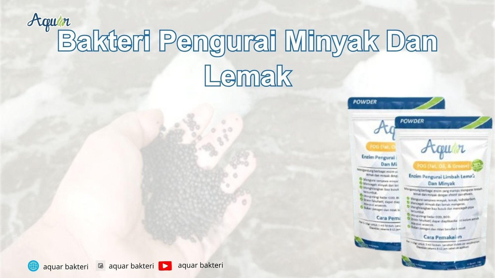 Bakteri Pengurai Minyak Dan Lemak