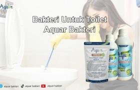 Bakteri Untuk Toilet - Aquar Bakteri