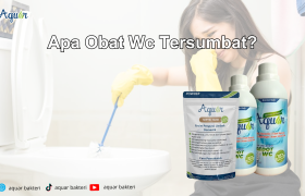 Apa Obat Wc Tersumbat?