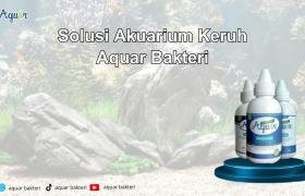 Solusi Akuarium Keruh