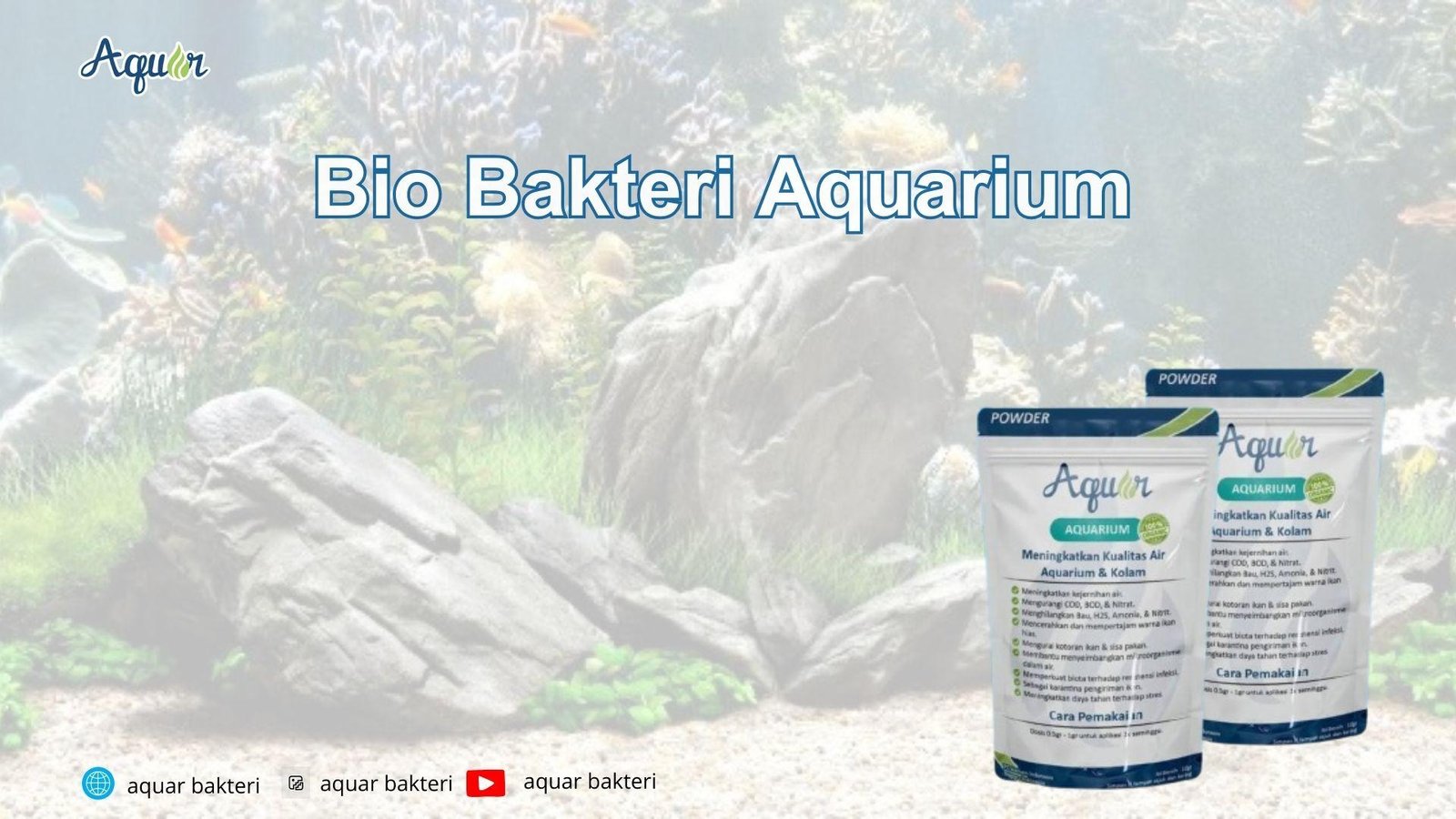 Bio Bakteri Aquarium