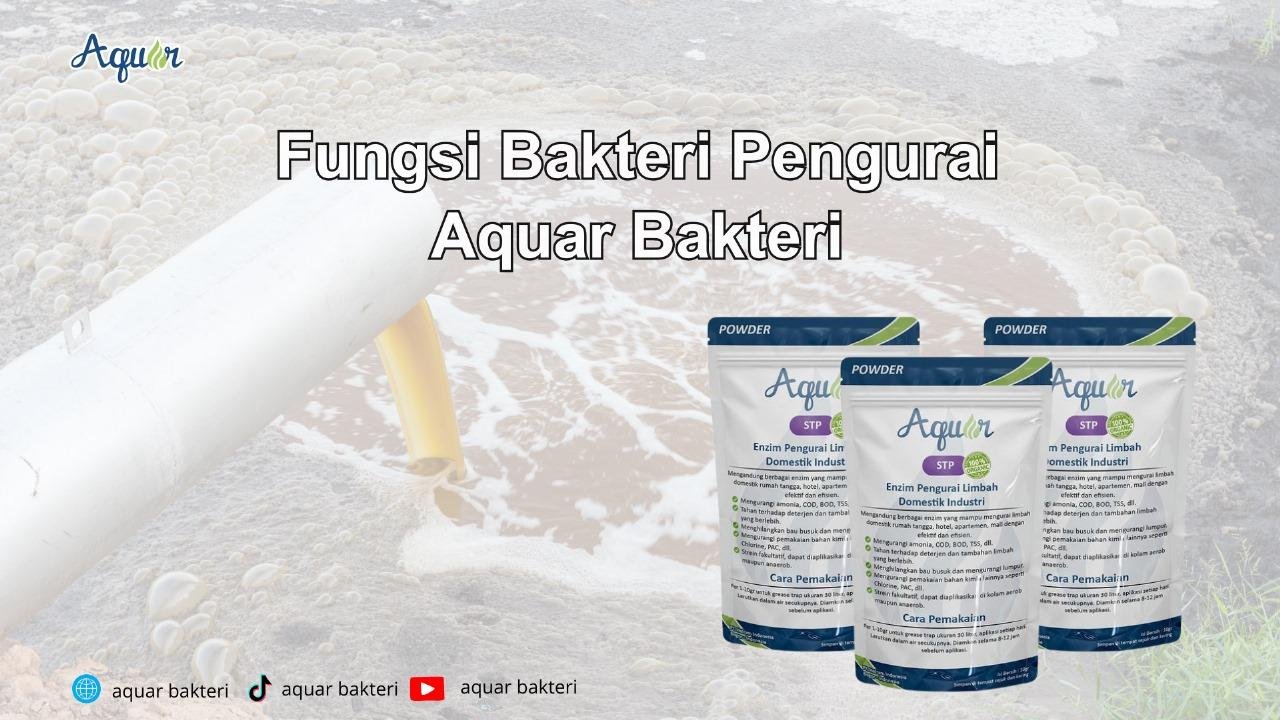 Fungsi Bakteri Pengurai