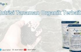 Nutrisi Tanaman Organik Terbaik