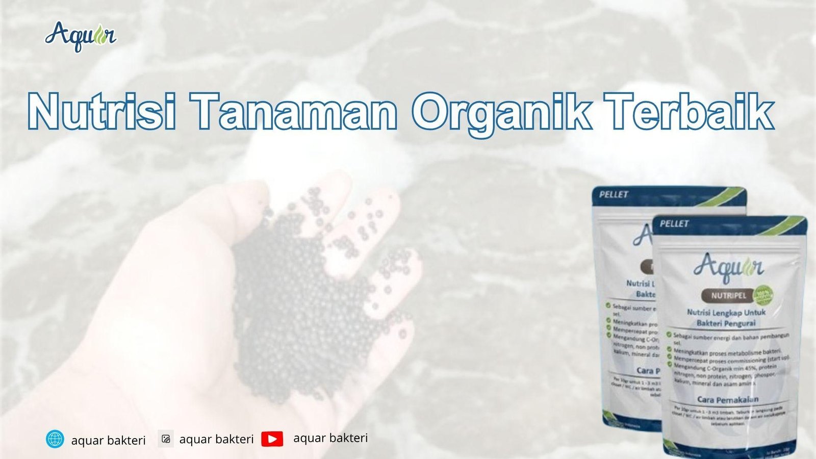 Nutrisi Tanaman Organik Terbaik