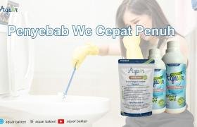 Penyebab Wc Cepat Penuh