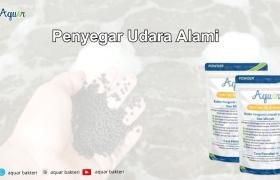 Penyegar Udara Alami